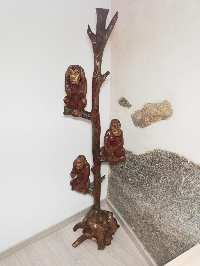 Los Tres Monos Ávila 外观 照片